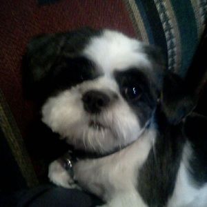 Meet your Posher, Lexie